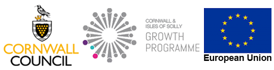 European Union Growth Programme European Union Growth Programme